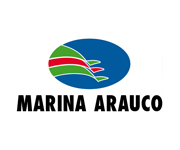 mall-marina-arauco